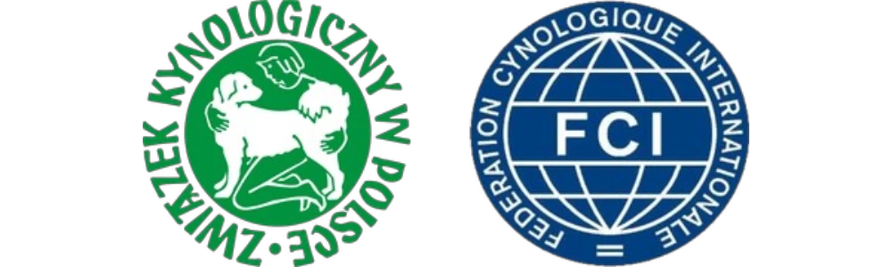 Logo Rainbow Of Happiness FCI