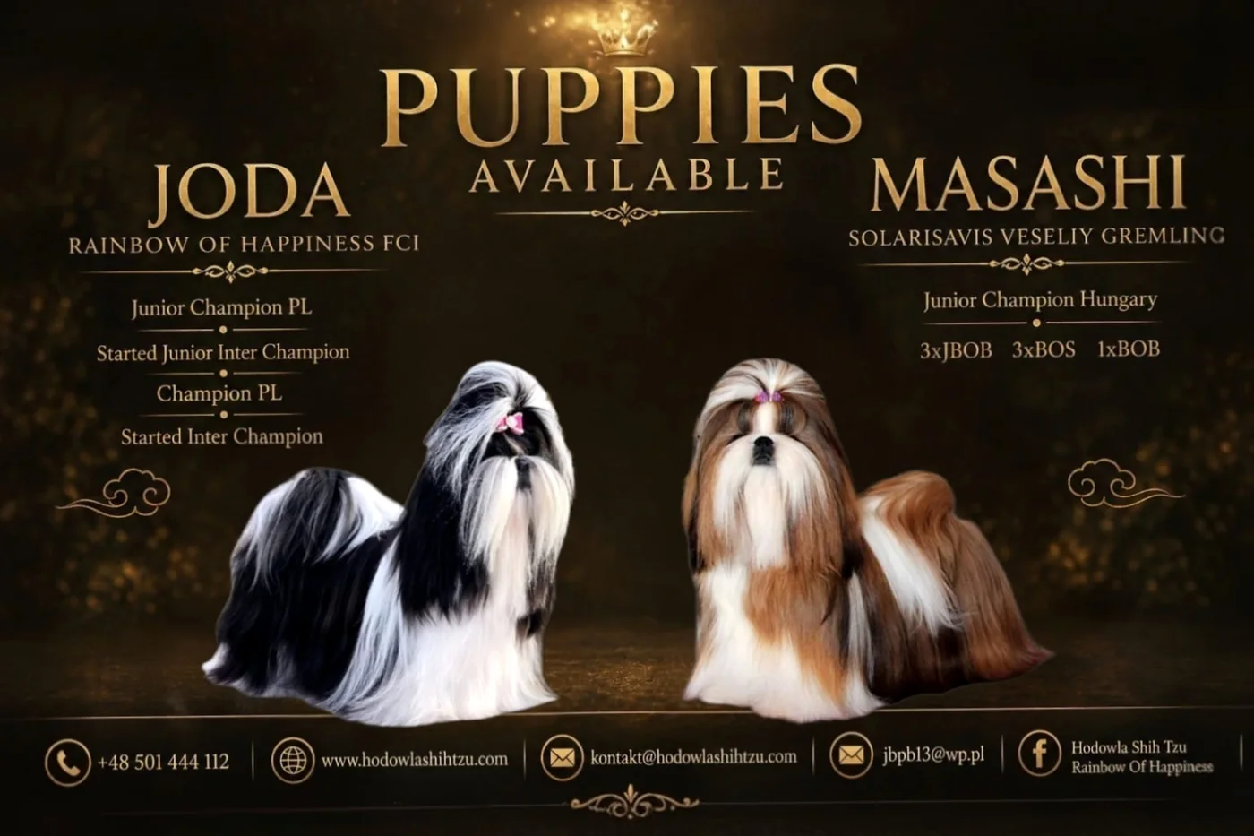 Miot po Joda & Masashii