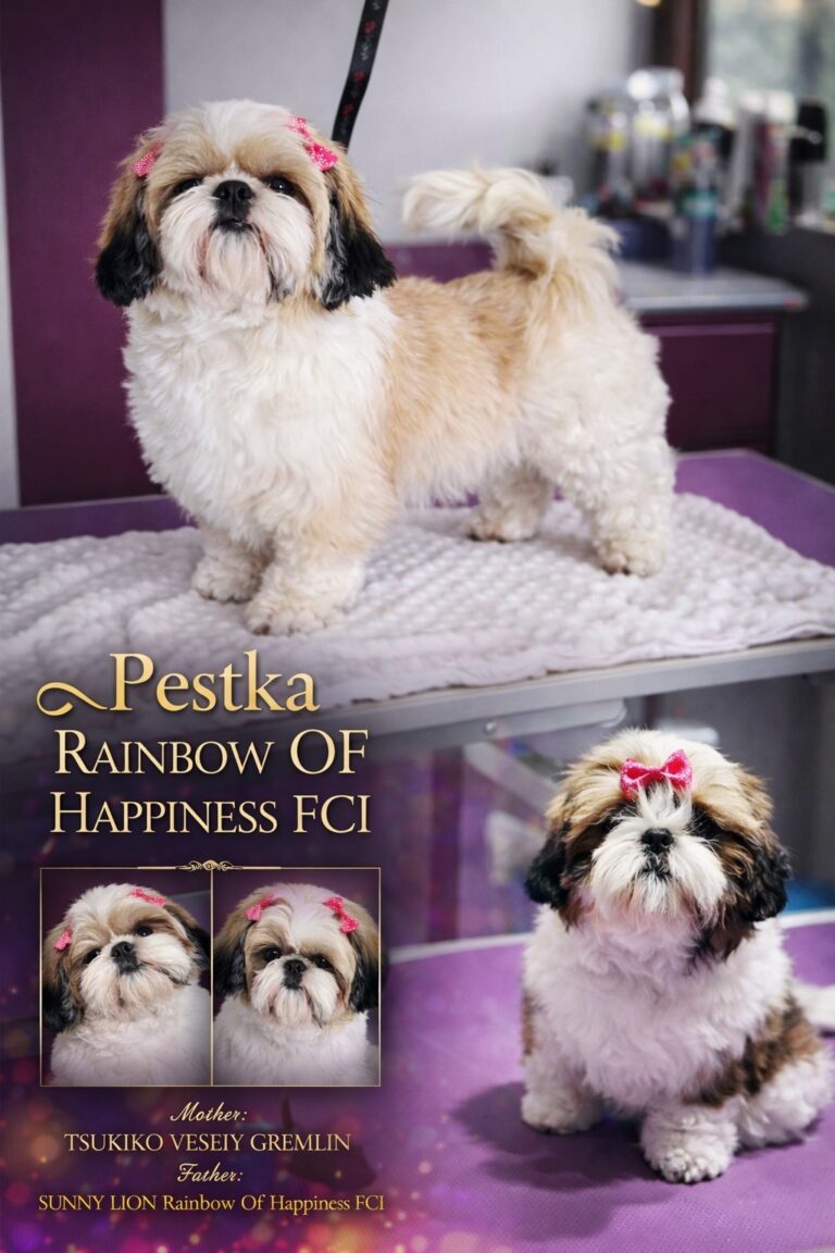 PESTKA Rainbow Of Happiness FCI — Suka Hodowlana